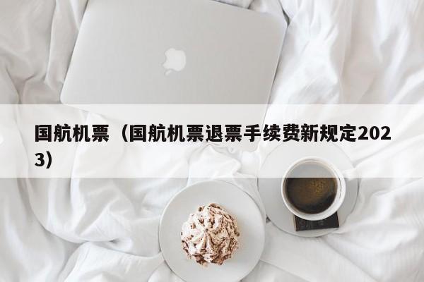国航机票（国航机票退票手续费新规定2023）