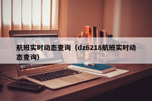 航班实时动态查询（dz6218航班实时动态查询）