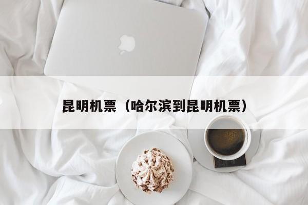 昆明机票（哈尔滨到昆明机票）  第1张