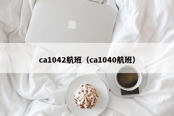 ca1042航班（ca1040航班）  第1张