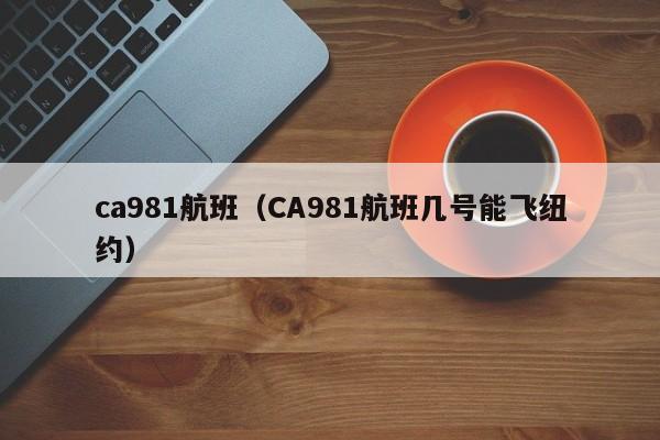 ca981航班（CA981航班几号能飞纽约）  第1张