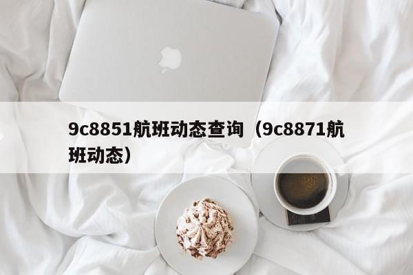 9c8851航班动态查询（9c8871航班动态）  第1张