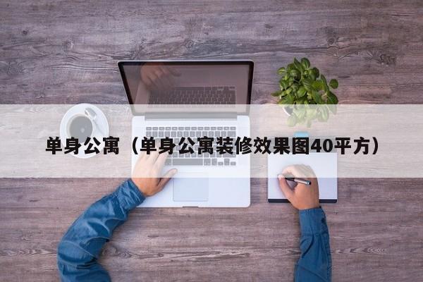 单身公寓（单身公寓装修效果图40平方）