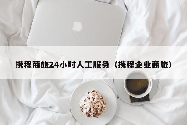 携程商旅24小时人工服务（携程企业商旅）  第1张