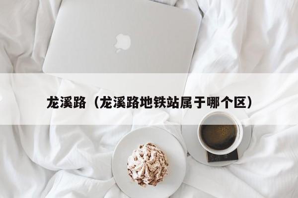 龙溪路（龙溪路地铁站属于哪个区）  第1张