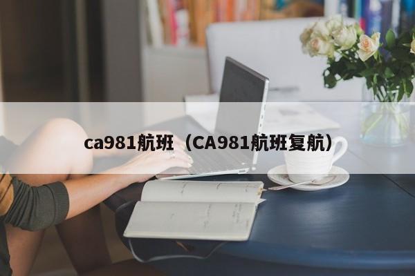 ca981航班（CA981航班复航）  第1张