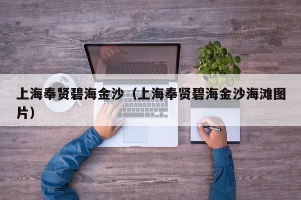 上海奉贤碧海金沙（上海奉贤碧海金沙海滩图片）