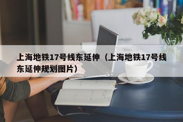 上海地铁17号线东延伸（上海地铁17号线东延伸规划图片）