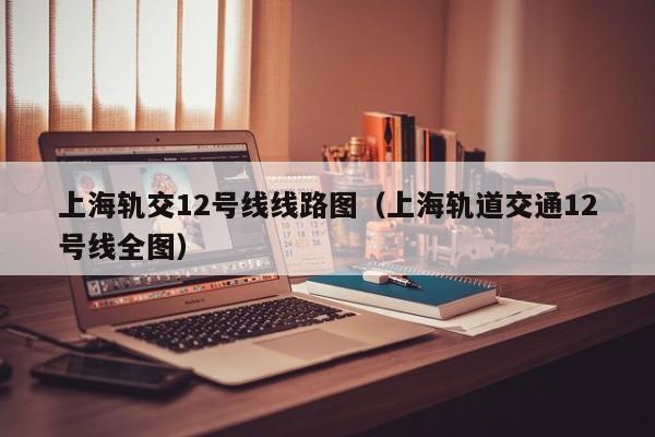 上海轨交12号线线路图（上海轨道交通12号线全图）