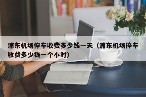 浦东机场停车收费多少钱一天（浦东机场停车收费多少钱一个小时）  第1张