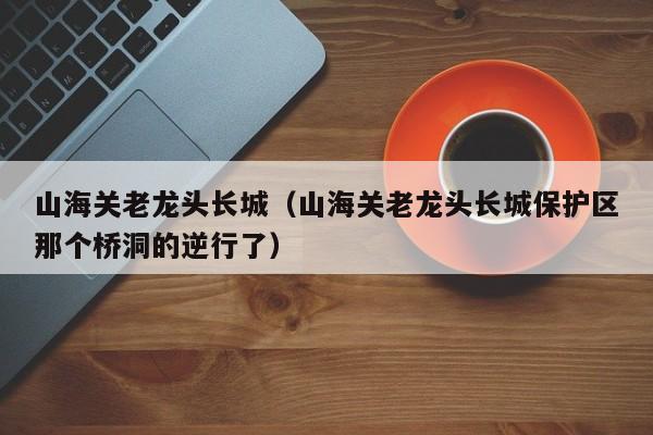 山海关老龙头长城（山海关老龙头长城保护区那个桥洞的逆行了）