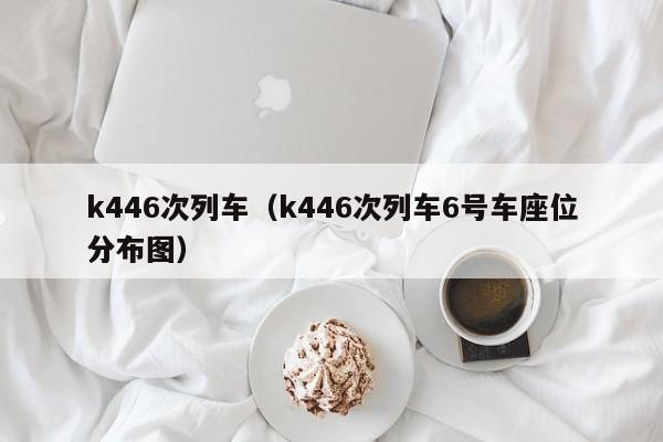 k446次列车（k446次列车6号车座位分布图）
