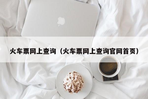 火车票网上查询（火车票网上查询官网首页）
