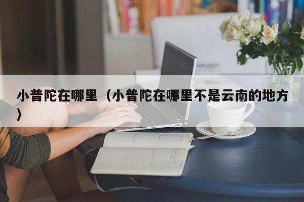 小普陀在哪里（小普陀在哪里不是云南的地方）