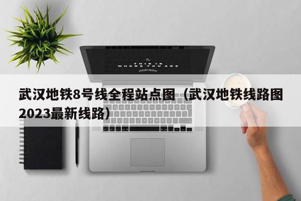 武汉地铁8号线全程站点图（武汉地铁线路图2023最新线路）