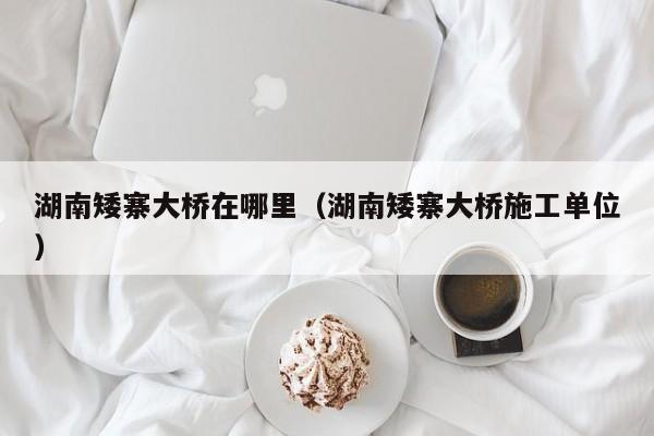 湖南矮寨大桥在哪里（湖南矮寨大桥施工单位）