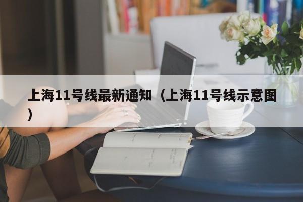 上海11号线最新通知（上海11号线示意图）