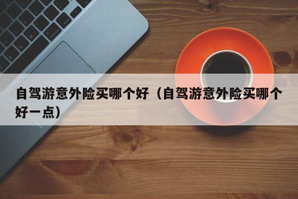 自驾游意外险买哪个好（自驾游意外险买哪个好一点）