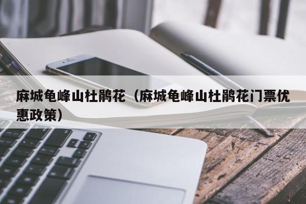 麻城龟峰山杜鹃花（麻城龟峰山杜鹃花门票优惠政策）