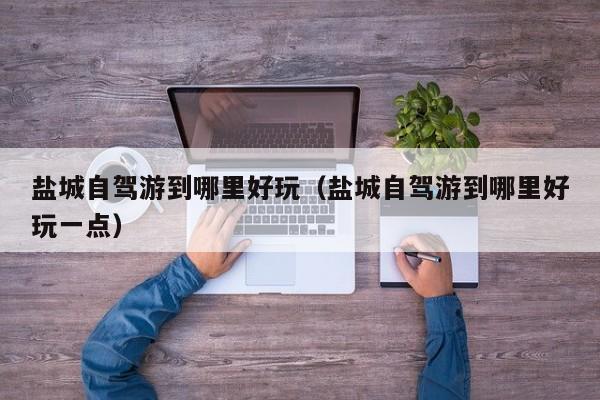 盐城自驾游到哪里好玩（盐城自驾游到哪里好玩一点）
