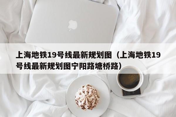 上海地铁19号线最新规划图（上海地铁19号线最新规划图宁阳路塘桥路）