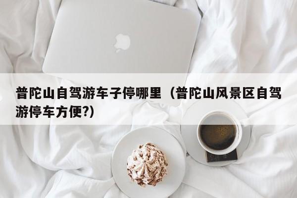 普陀山自驾游车子停哪里（普陀山风景区自驾游停车方便?）