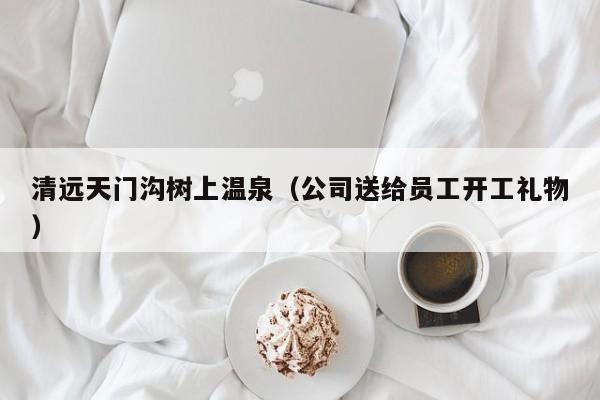 清远天门沟树上温泉（公司送给员工开工礼物）