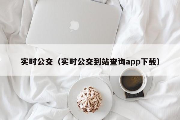 实时公交（实时公交到站查询app下载）