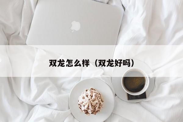 双龙怎么样（双龙好吗）