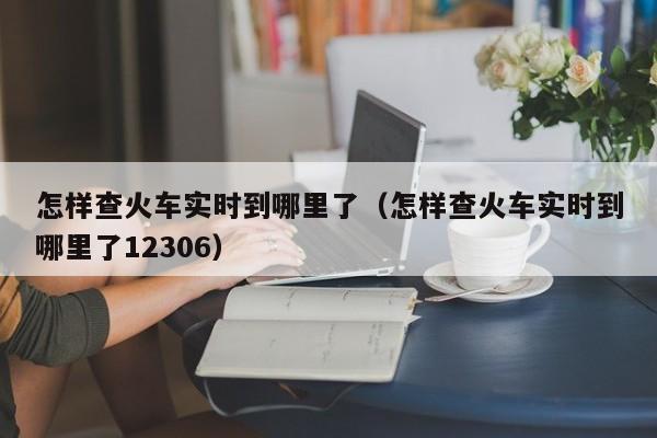 怎样查火车实时到哪里了（怎样查火车实时到哪里了12306）