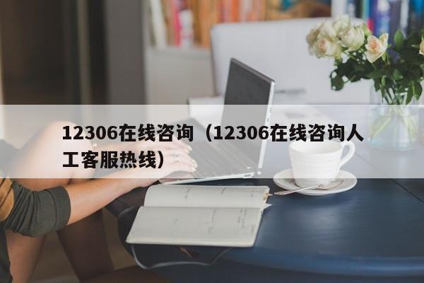12306在线咨询（12306在线咨询人工客服热线）