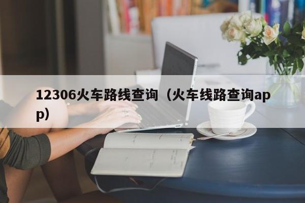 12306火车路线查询（火车线路查询app）