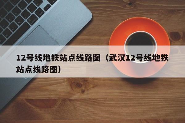 12号线地铁站点线路图（武汉12号线地铁站点线路图）