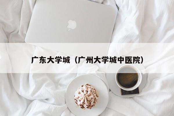 广东大学城（广州大学城中医院）