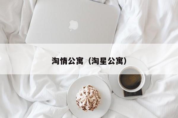 淘情公寓（淘星公寓）
