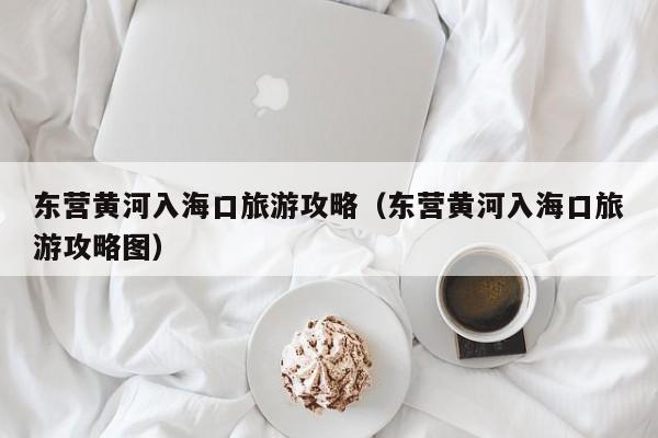 东营黄河入海口旅游攻略（东营黄河入海口旅游攻略图）